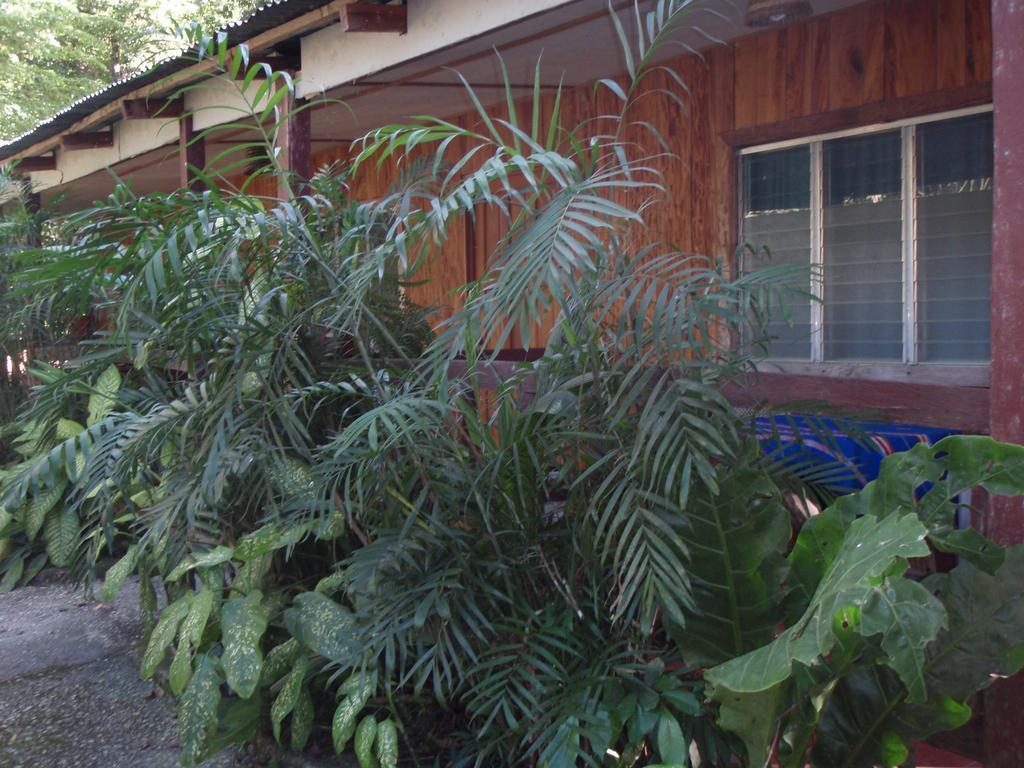 Guest House Posada Ixchel El Remate Ruang foto