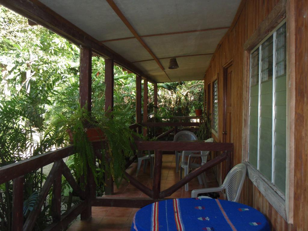 Guest House Posada Ixchel El Remate Ruang foto